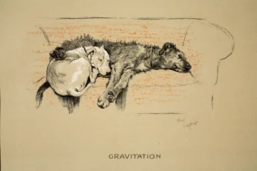 Gravitation, 1930, 1. udgave af 